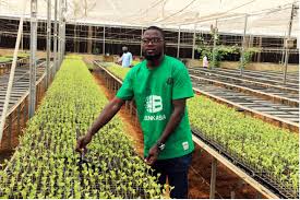 Agro-Business Can Earn You ₦2M in 4 Months, Gotomo Advises Youth