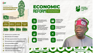 President Tinubu’s economic reform links credit score to NIN, affecting access to national services